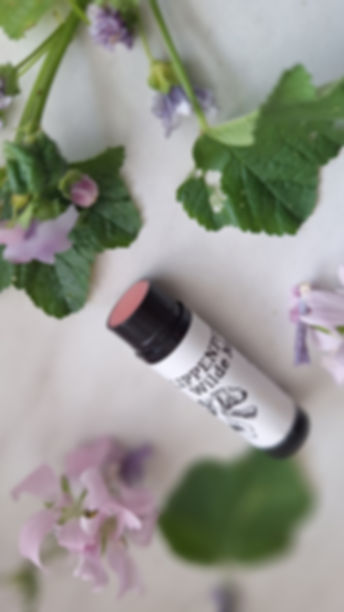 LIPPENPFLEGE WILDE MALVE 