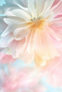 hIGHER DIM_edited_edited_edited.jpg