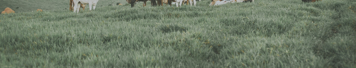 pexels-media-841303-01.jpeg