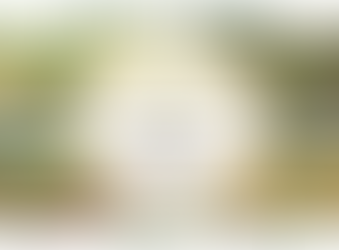 Milho para Silagem: do Plantio à Colheita (Dia de Campo) - 24/06/2017