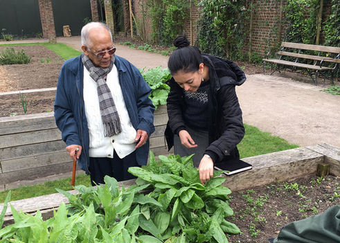 Unexpected tale from the park