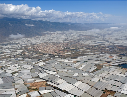 Arts Justice Residency