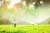 shutterstock_1301091352.jpg