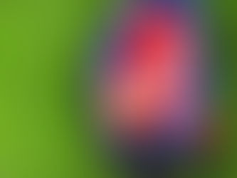 Flag Football: Will the variant make the Olympics before the original?