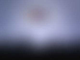 Baltimore Ravens Season Preview                                                                by George Johnston IV   