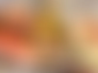 Let's Talk About Fat.....Basics