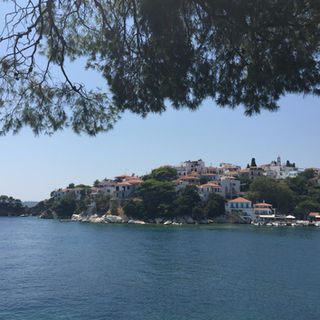 IMG_1051.jpeg