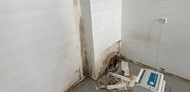 Wasserschadensarnierung bei NOLI