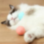 CyberPaw™ Moving Ball