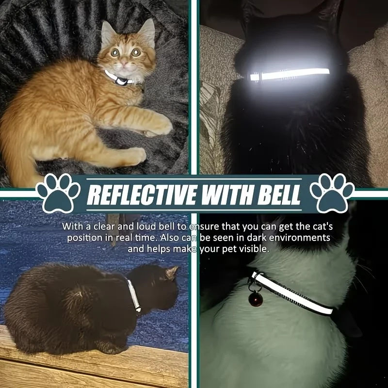 TrackPaw™ GPS Collar Tracker