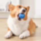 CyberPaw™ Moving Ball