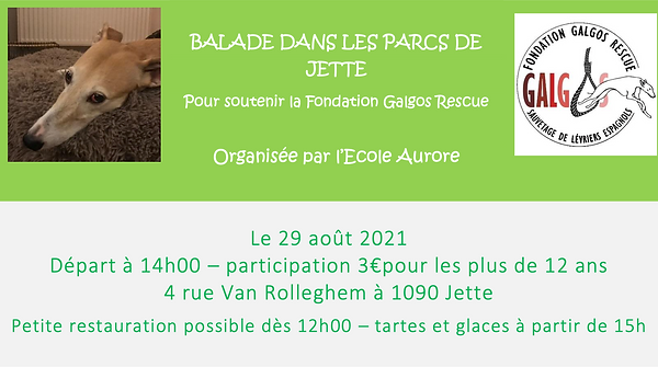 Capture d’écran 2021-06-19 à 10.14.38.png