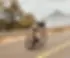 Banner_Bib_01.webp