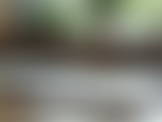 How Educational Therapy Empowers Learning