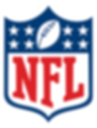 NFL logo for client portfolio