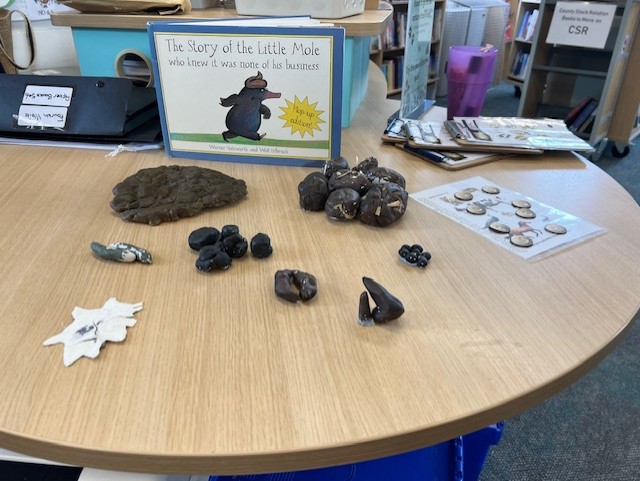 Table in The Library displaying, luckily, fake animal poo!
