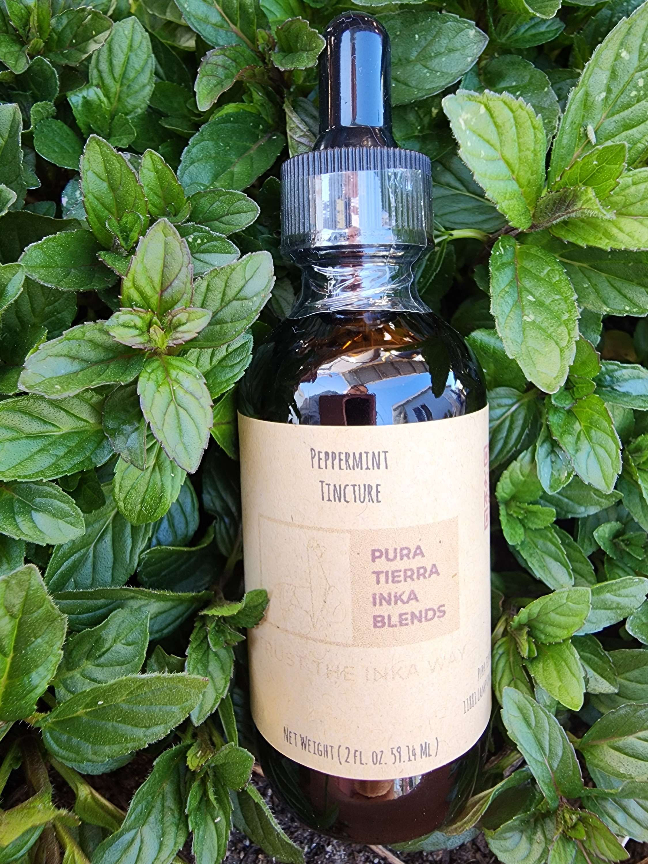 Peppermint leaves tincture