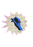 6.png