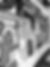 IMG_5219.jpeg