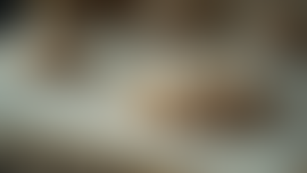 Exploring the Timeless Elegance of Pearl Jewellery in European Royal Families