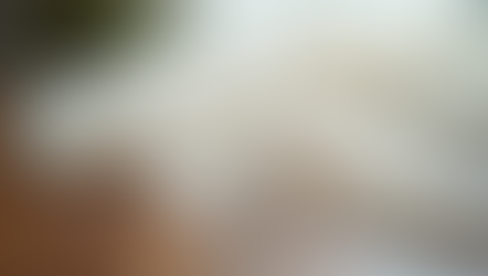 Ivory Veil Selection: Choosing the Right Ivory Wedding Veil