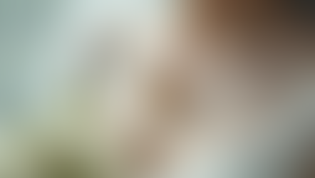 Elegant Choices for Your Wedding Day Featuring the Butterfly and Pearl Single Chapel Length Veil