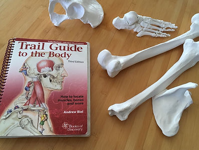 Trail Guide Bones.jpeg