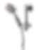 Dush 2