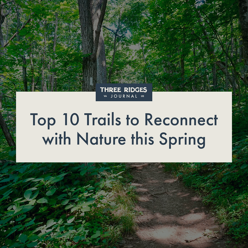 Top 10 Trails to Reconnect with Nature this Spring