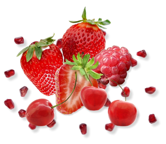 Notion Mocktail (4).png