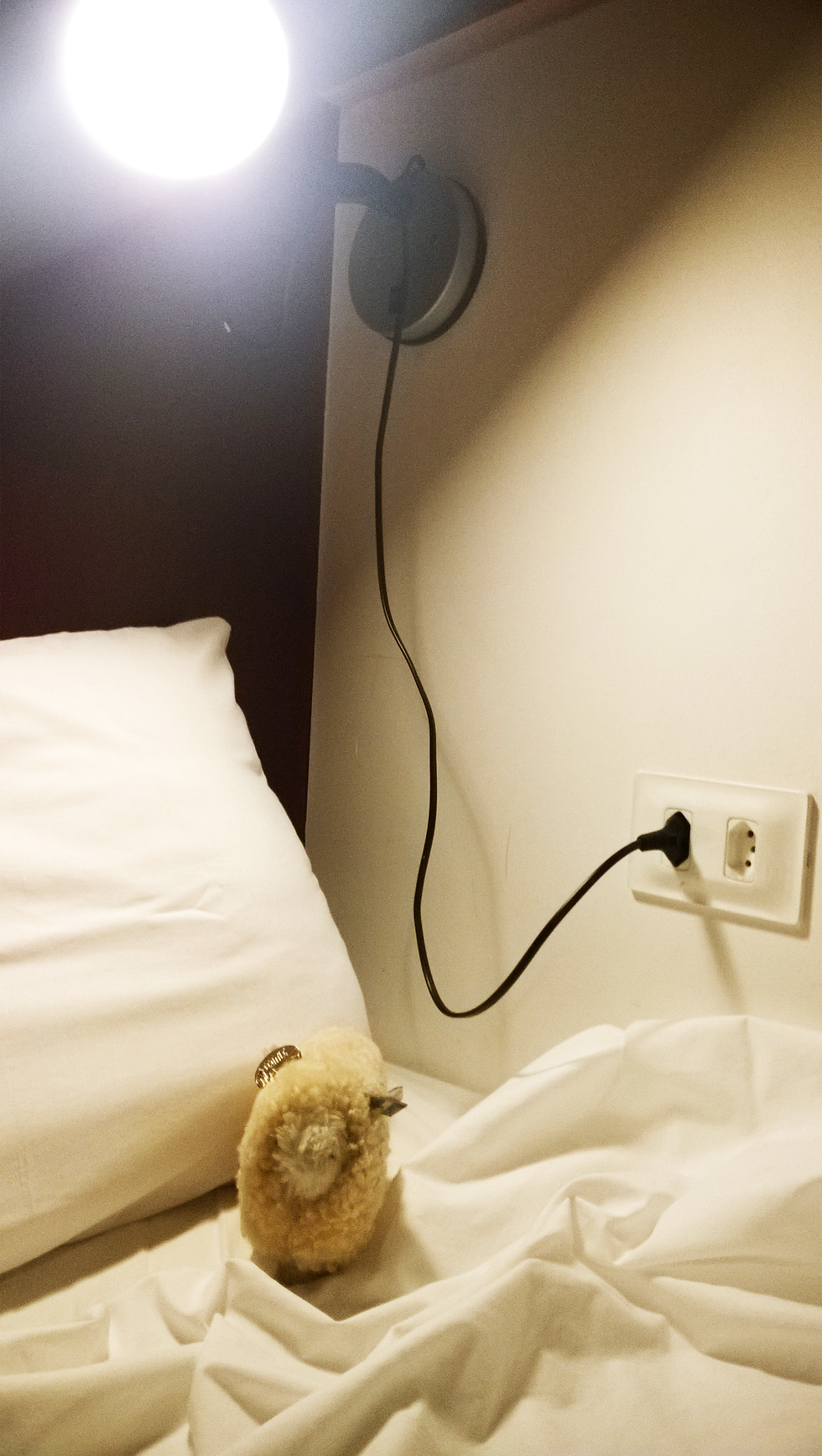 garoahostel_10.png