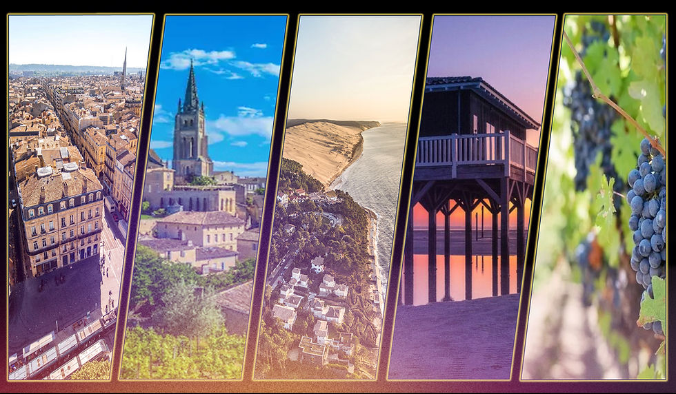 Projection de cinéma en plein air en Gironde avec écran géant et public en extérieur