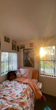 IMG_0738.jpeg