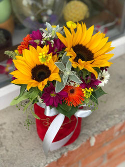 flowerbox sa suncokretima