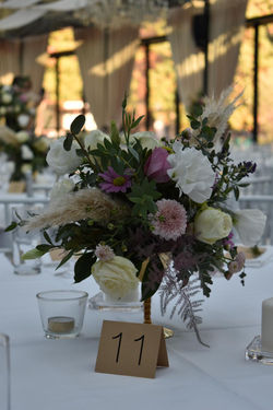 0b33c0db-0aec-47ff-97ab-9dd7d11f9aed