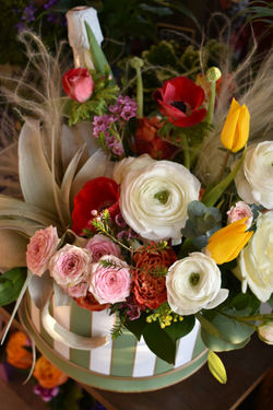 Flowerbox sa vazdusnom biljkom