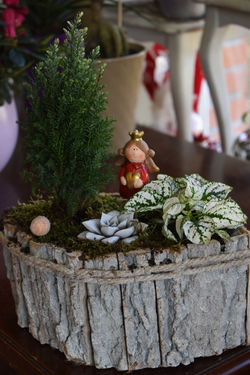 beb695df-8591-45e6-b9f1-3100b03e5846