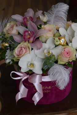 Kutija sa raznim vrstama orhideja