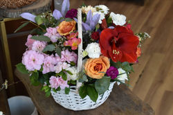 Korpa cveca sa azalejom
