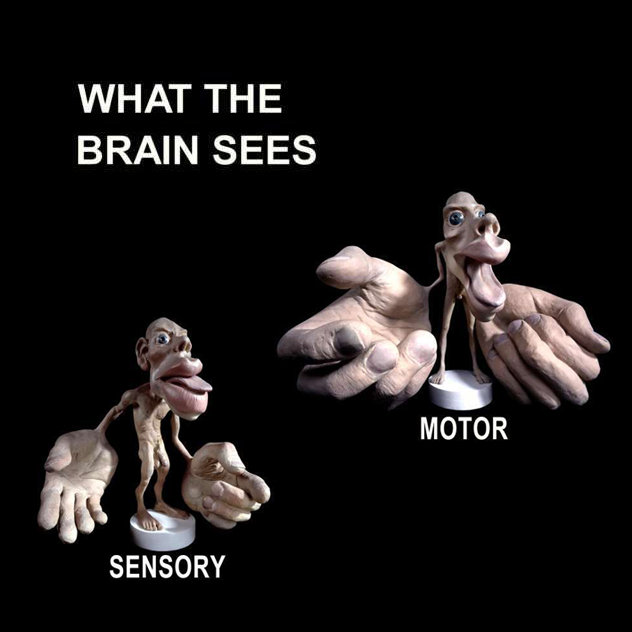 How Your Brain Sees Your Body What is Osteopathy Series