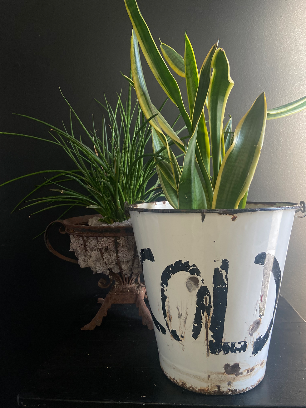 Thumbnail: Vintage Enamel COLD Bucket