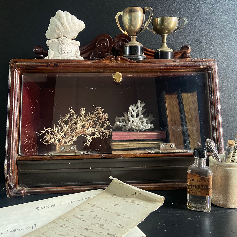 Thumbnail: Decorative Shop Counter Display Case