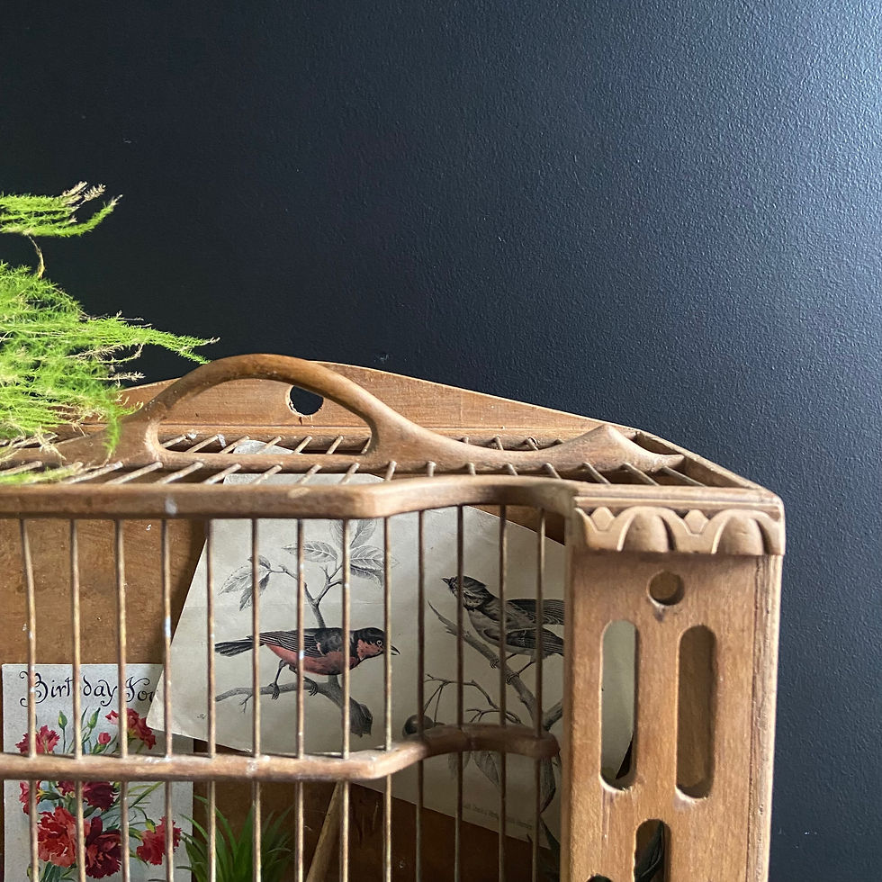 Thumbnail: Very Unusual Vintage French Birdcage 