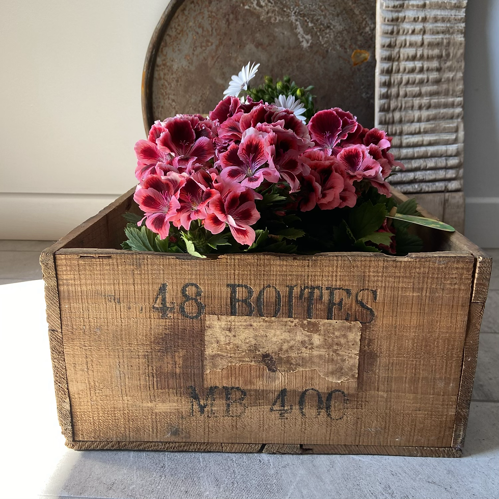 Thumbnail: Vintage Wooden French Milk Delivery Crate #2