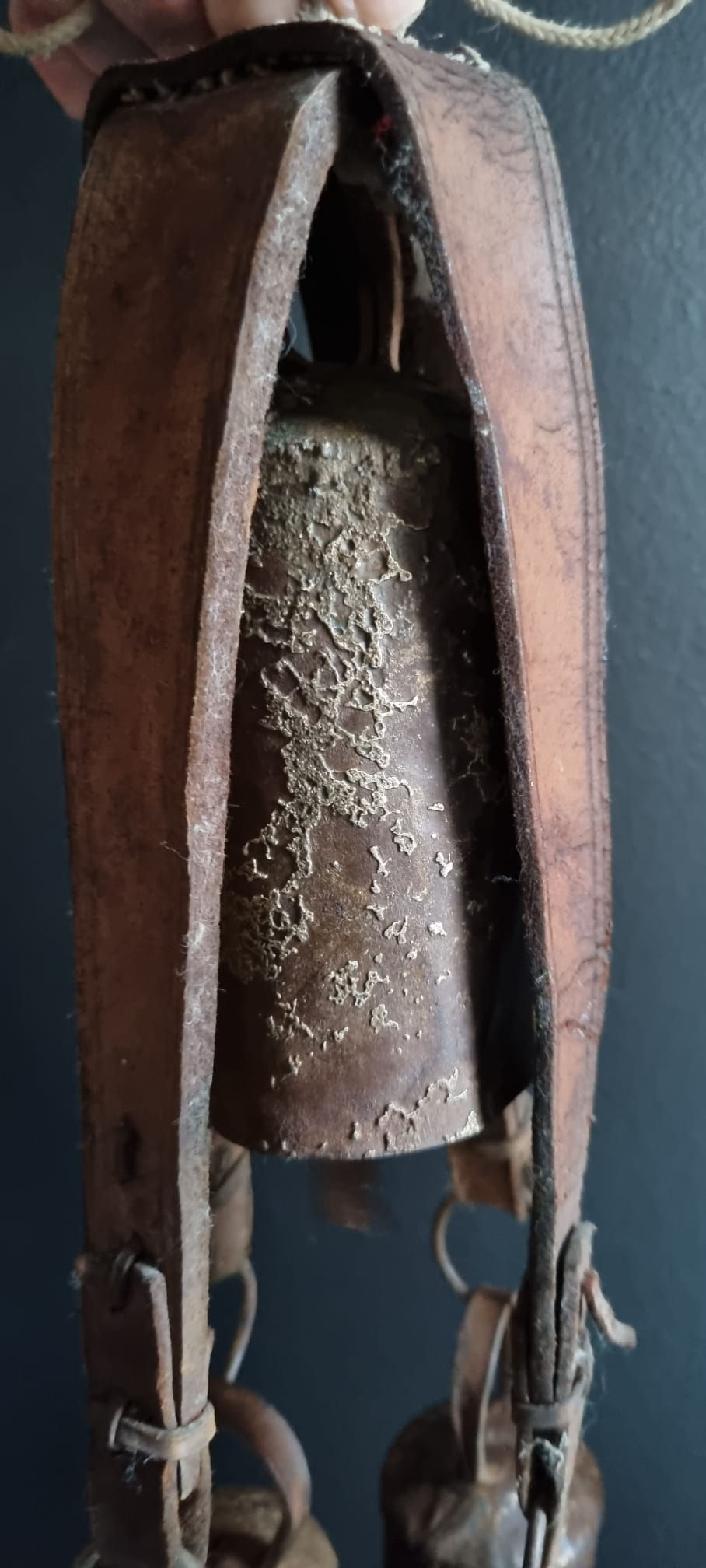 Thumbnail: Unique Folk Art Vintage French Cowbells 