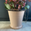 Thumbnail: Vintage Pink Enamel Bucket
