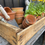Thumbnail: French Fruit Growers Crate