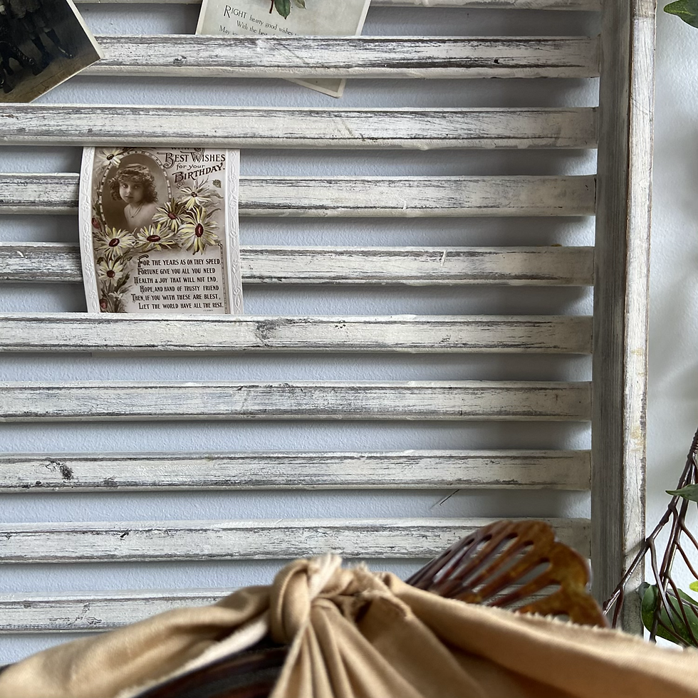 Thumbnail: Slatted Drying Tray