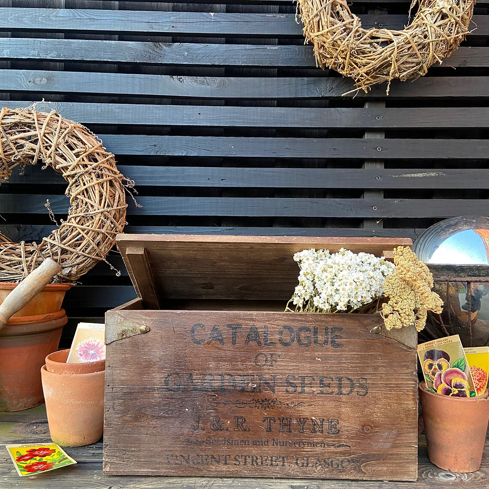 Thumbnail: Wooden J and R Tyne Seed Catalogue Crate