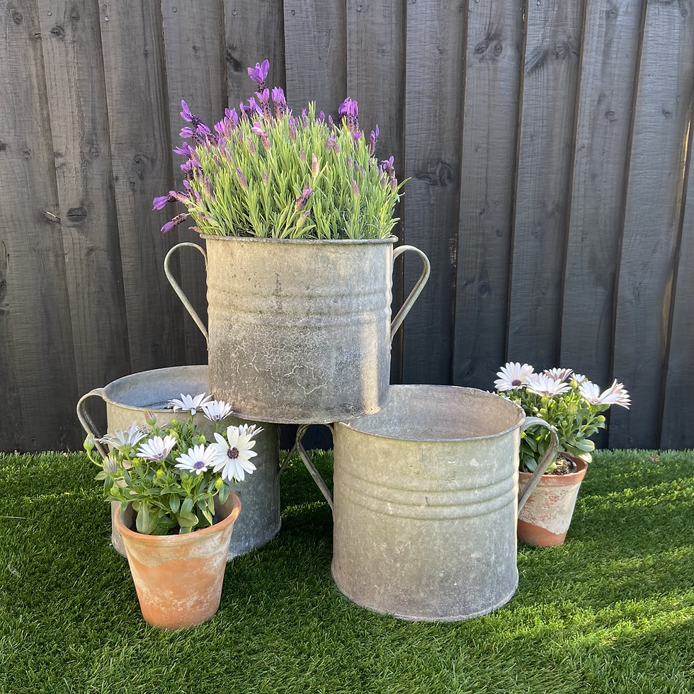 Thumbnail: Medium Vintage Galvanised Two Handled Tub